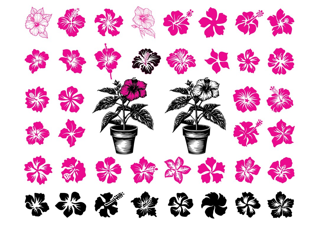 Hibiscus Flower SVG Bundle: Tropical Floral Cut Files (SVG, PNG) - Etsy