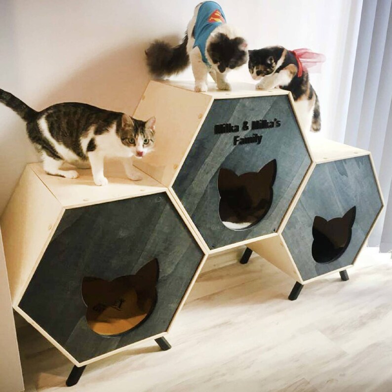 Besonderes Design Katzenhaus-Haustierhaus-HolzKatze-Moderne - Etsy