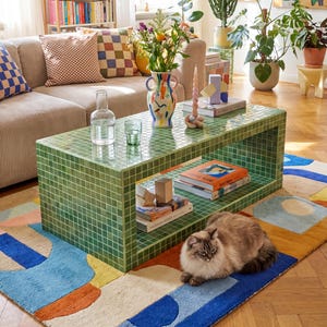 Op de afbeelding: Een woonkamer met een groene betegelde salontafel, een patroonkleed en een beige bank met kleurrijke kussens. Een kat ligt op het kleed. De kamer is ingericht met planten, boeken en kunstwerken.
