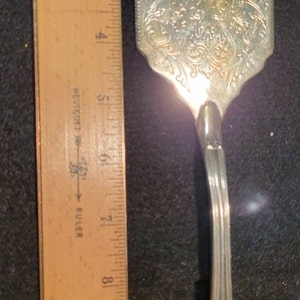 Decorative silver serving piece.  Perhaps for serving cake.  Or.... Silver Fly Swatter (not really).