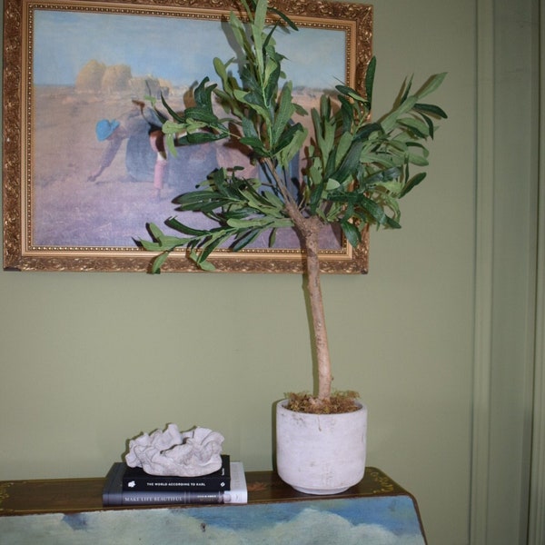 Faux Artificial Small Olive Tree in cement pot with moss H 85cm| Artificial Interior Indoor Plant