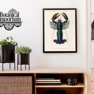 Hummerposter, vintagetryck med havsdjur och vilda djur, väggkonst med röda kräftor, presentidé för heminredning, inramad A6 A5 A4 A3 A2 A1 bild 6