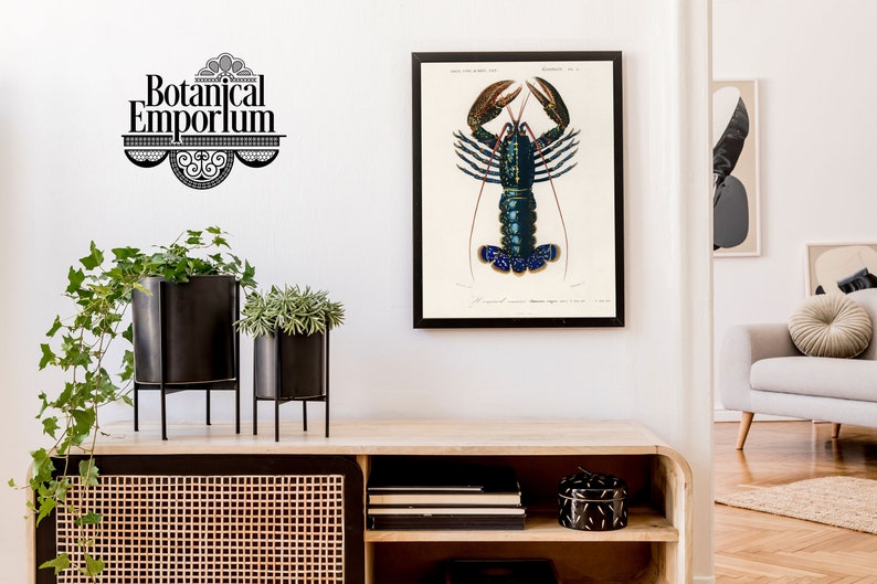 Hummerposter, vintagetryck med havsdjur och vilda djur, väggkonst med röda kräftor, presentidé för heminredning, inramad A6 A5 A4 A3 A2 A1 bild 6