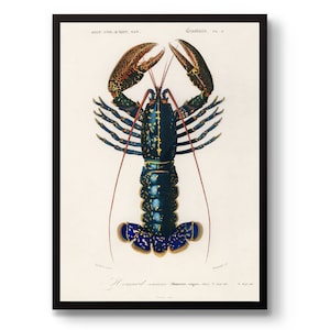 Hummerposter, vintagetryck med havsdjur och vilda djur, väggkonst med röda kräftor, presentidé för heminredning, inramad A6 A5 A4 A3 A2 A1 bild 1