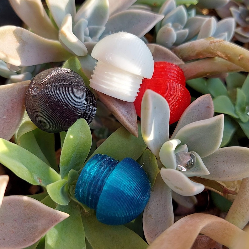 4 small jam plugs, laid on leafs; colors are black, white, teal and red