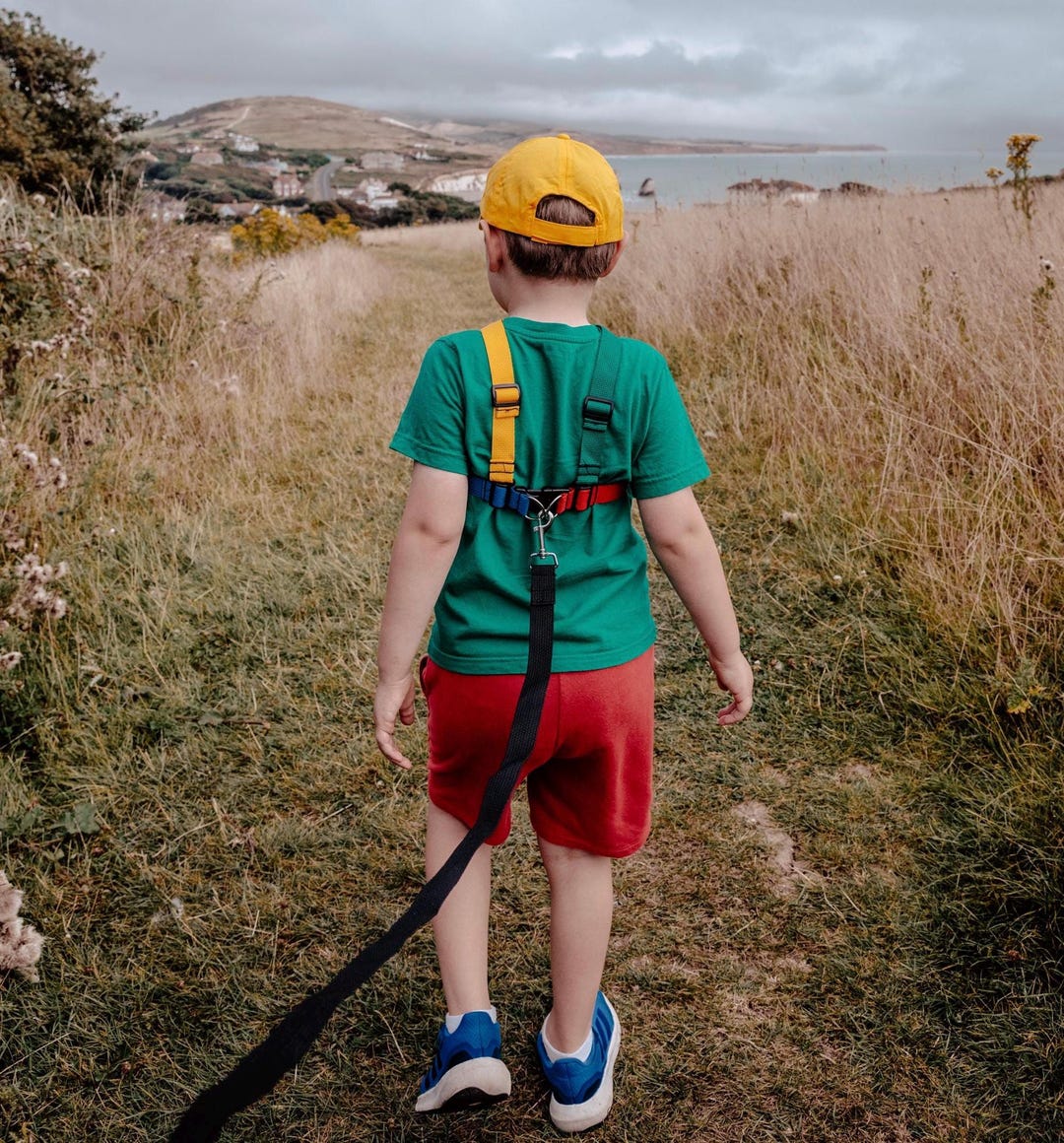 Minimax Ultra Robust Child Walking Harness With a Leash for Kids From  2yo up to Perfect for Autsim, ADHD, Special Needs, Elopement