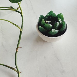 Mexican Cactus Candle 3x2 in Pair | Beeswax Decorative Candle | Rustic | Farmhouse style | honey candle | succulents | handcrafted | decor