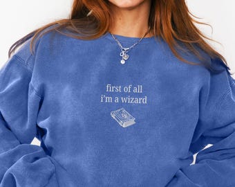 RPG Wizard Class Comfort Colors Sweatshirt, Tabletop RPG, I'm a Delight Meme Shirt, Unisex