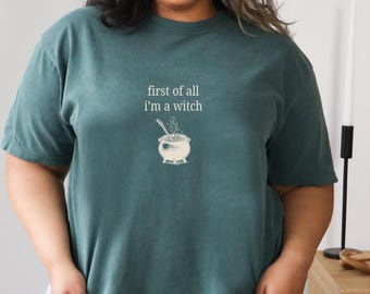 RPG Witch Class Comfort Colors Shirt, Tabletop RPG, I'm a Delight Meme Shirt, Unisex