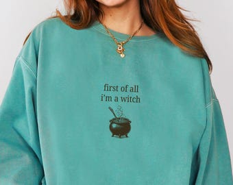 RPG Witch Class Comfort Colors Sweatshirt, Tabletop RPG, I'm a Delight Meme Shirt, Unisex