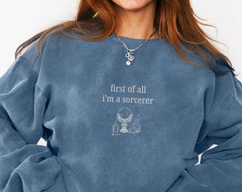 RPG Sorcerer Class Comfort Colors Sweatshirt, Tabletop RPG, I'm a Delight Meme Shirt, Unisex