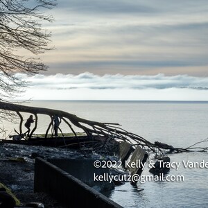 People under the fallen tree Fox Island