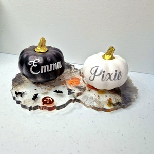 Cadeaux pour décoration d'automne en vrac, Nom de lieu pour table de mariage, Places assises pour invités, Placement des étiquettes de nom, Cadeaux de mariage, Souvenir, Mariage rustique