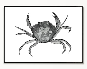 Crab Print,A5,Nature Art,Ocean Print,Dotwork,Fine Art Prints, Home Decor, New Home Gift, Seaside