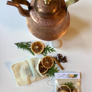Simmer Pot Hot Shots-Cedar Citrus Orange Clove and Cinnamon
