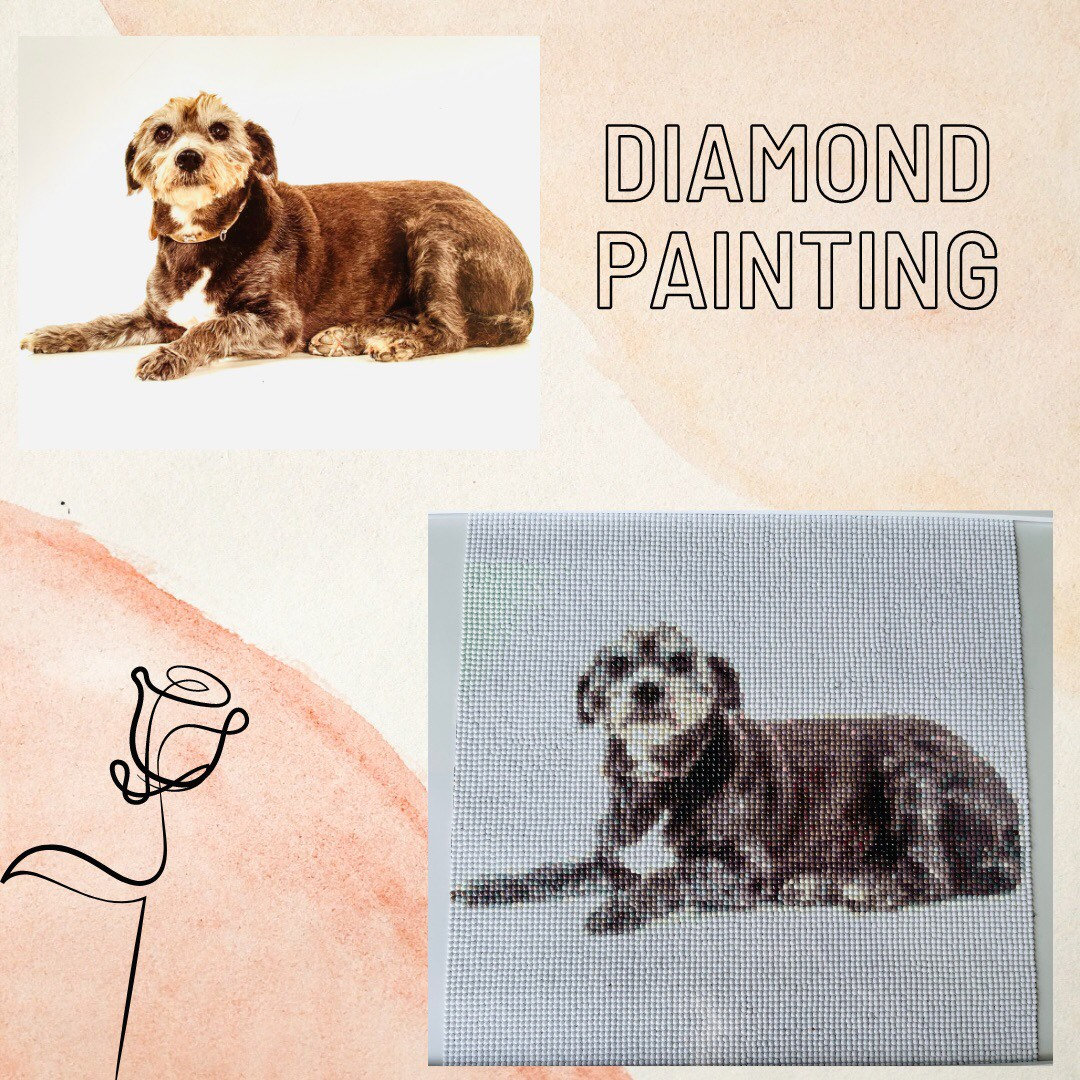 Covermider / Magnets for Diamond Painting 