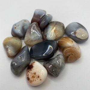 May include: A collection of ten tumbled agate stones in various shades of gray, brown, and white. The stones are smooth and polished, with intricate patterns and banding.