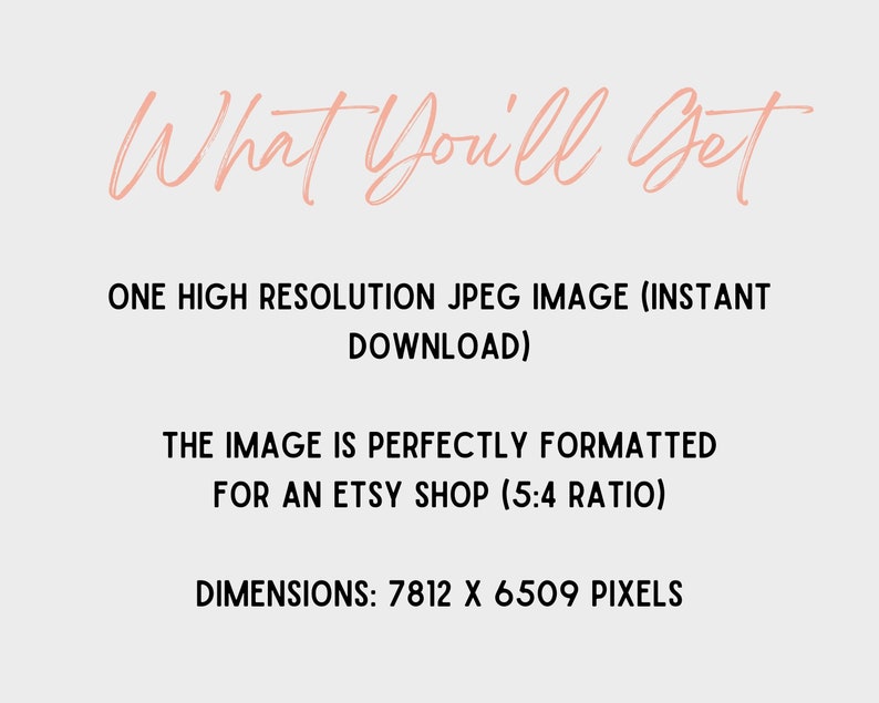 May include: A light gray background with the text "What You'll Get" in a cursive, pink font. Below, the text reads: "ONE HIGH RESOLUTION JPEG IMAGE (INSTANT DOWNLOAD). THE IMAGE IS PERFECTLY FORMATTED FOR AN ETSY SHOP (5:4 RATIO). DIMENSIONS: 7812 X 6509 PIXELS."