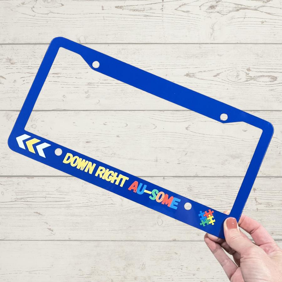 World's Greatest Occupational Therapist License Plate Frame – Car Plate Frames 1003