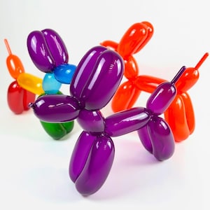 May include: A collection of colorful balloon animals in the shape of dogs. The balloons are in various colors, including purple, red, orange, yellow, green, and blue. The balloons are arranged on a white surface.