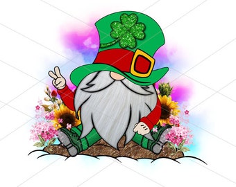 St. Patrick's Gnomes Png Sublimation Design,St. Patrick's Day Sublimation Png,St. Patrick's Day Gnome Png, Gnomes Png, Digital Download
