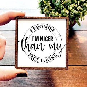 Mini Wood Sign | Framed Miniature Quote |  Farmhouse Style | Magnet | Ornament | Tiered Tray | Shelf Decor | Promise | Nicer Than Face Looks