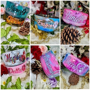 Custom Resin Dog/Cat Bowls