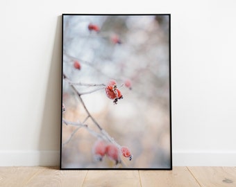 Set of 5 Bublikova Digital Downloads - Winter hoarfrost berries edition / Dog-rose  / Poster. Print. Printable wall art. Widescreen photo