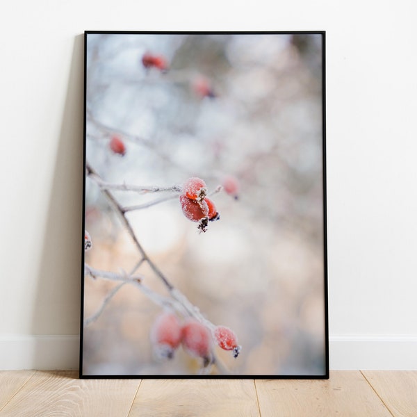 Set of 5 Bublikova Digital Downloads - Winter hoarfrost berries edition / Dog-rose  / Poster. Print. Printable wall art. Widescreen photo