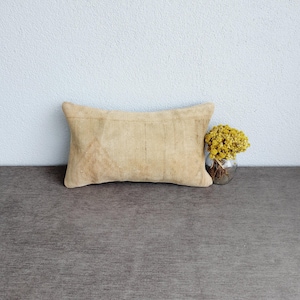 Lumbar Rug Pillow Cover: Beige Bohemian Vintage Pillow (12x20)