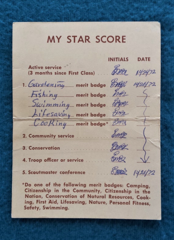 Vintage Boy Scout Star Class rank patch, parent's lap… - Gem