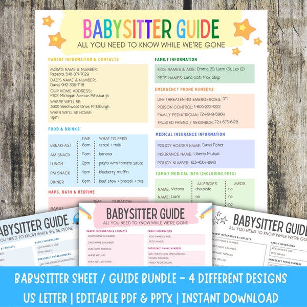 Babysitter Information Sheet, Nanny Essential Information, Emergency Contacts, Editable Babysitter Guide, Printable Nanny Sheet, 4 Colors