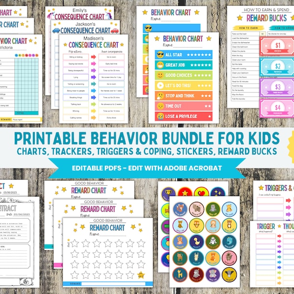 Behavior Chart - Etsy