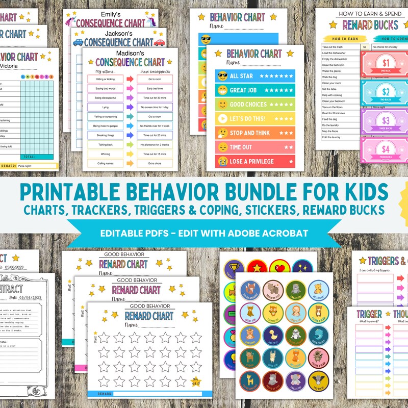 Behavior Chart - Etsy