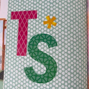 Återvunnen handförändrad dagbok | Taylor Swift, Little Golden Book, unik bild 7