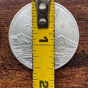 Puede incluir: Una moneda de plata con un dise&ntilde;o de p&aacute;jaro y el texto "1 ONZA PLATA 2017 LEY .999" se mide con una cinta m&eacute;trica amarilla.