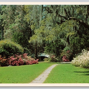 May include: A stone path leads through a lush green garden with a white bridge in the distance.  The garden is filled with blooming pink and white flowers and tall trees with hanging moss.