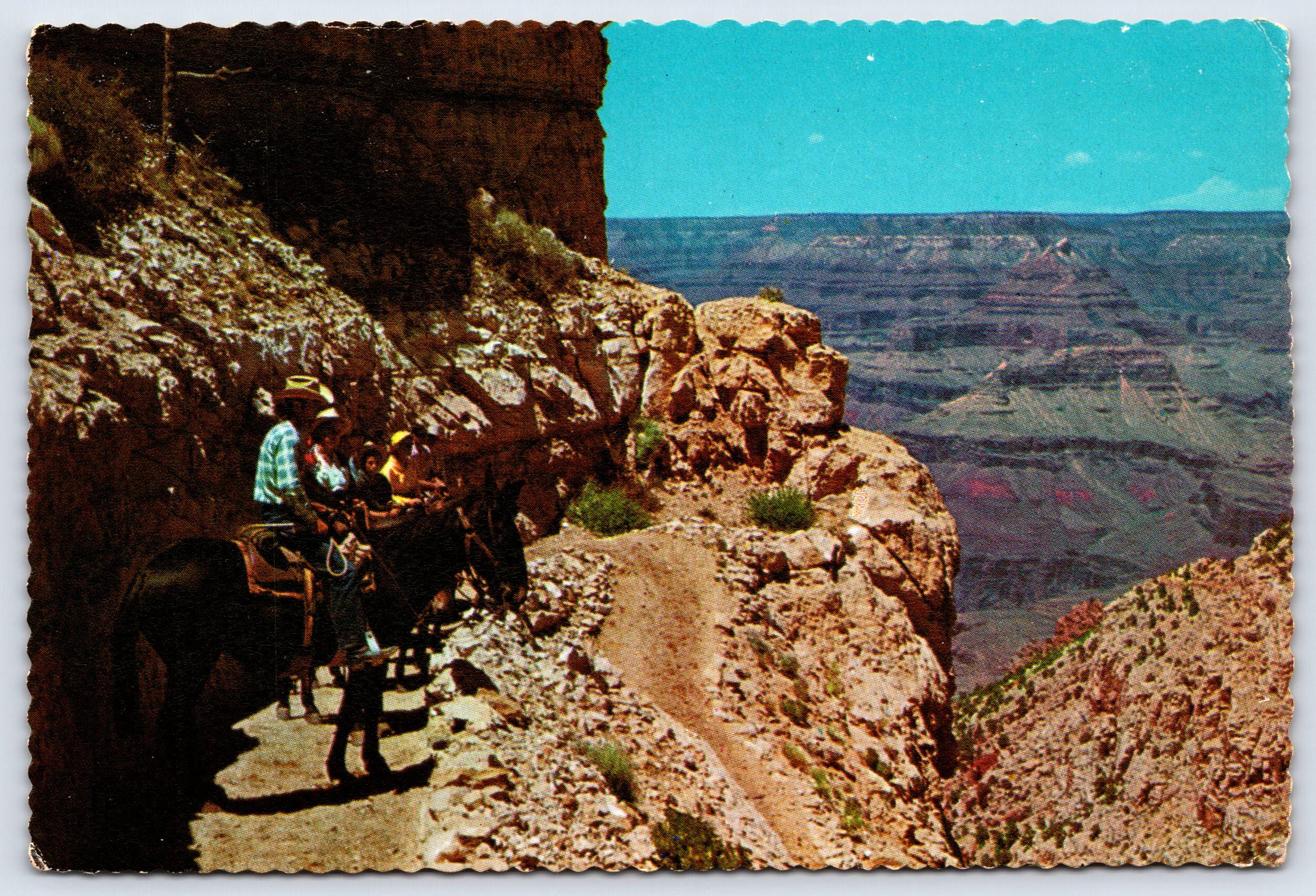 Vintage Postcard, Grand Canyon National Park Arizona, Cowboys near the top of Kaibab Trail, c1960s 4x6 unposted