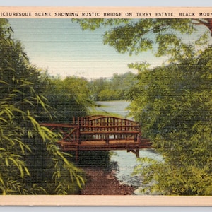 Vintage Postcard, Picturesque Scene showing Rustic Bridge on Terry Estate, Black Mountain North Carolina, c1940s unposted