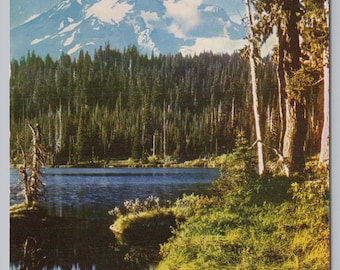 Vintage Postcard, Mount Rainier near Seattle Washington, c1960s unposted