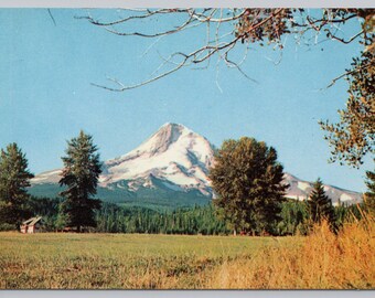 Vintage Postcard, Scenic View of Mount Hood Oregon from a Hood Valley Ranch, c1960s unposted