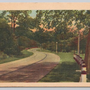 Vintage Postcard, Tree Lined Country Road Scenery, Unidentified Location Vintage Linen Postcard, c1940s unposted