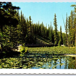 Vintage Postcard, Continental Divide & Isa Lake, Yellowstone National Park Wyoming, c1970s 4x6 unposted