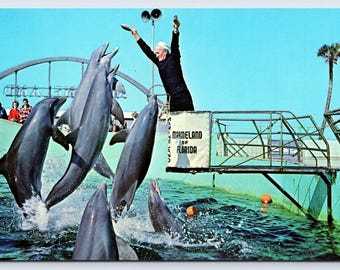Vintage Postcard, Trained Porpoises, Marine Studios, Florida's Famous Oceanarium, Marineland St. Augustine Florida, c1960s unposted