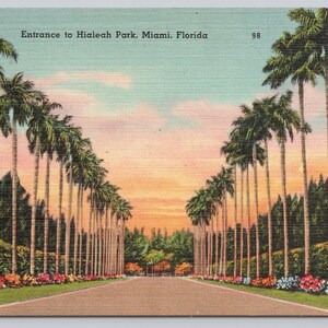 Vintage Postcard, Entrance to Hialeah Park, Miami Florida, Hialeah Race Track Entrance, c1940s unposted