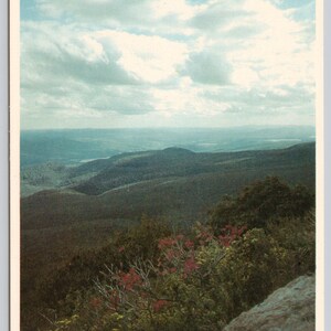 May include: A scenic view from a mountaintop, showing rolling hills covered in lush green trees and a blue sky with fluffy white clouds. In the foreground, there are red-leaved bushes and a large gray rock.