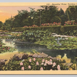 Vintage Postcard, Beautiful Water Gardens in California, Floral California Postcard, c1940s unposted