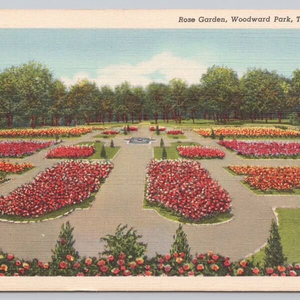 Vintage Postcard, Rose Garden in Woodward Park, Tulsa Oklahoma, c1940s unposted