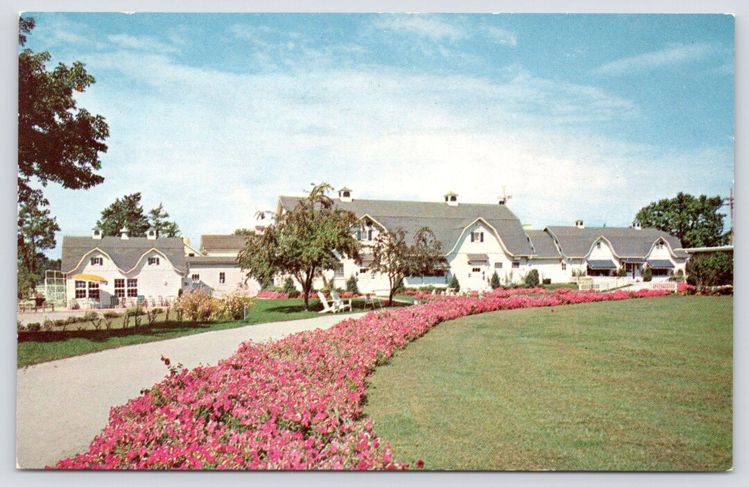 Vintage Postcard, Honey Bear Farm, Genoa City Wisconsin, C1960s ...