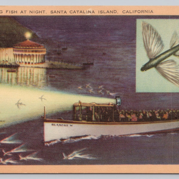 Vintage Postcard, Flying Fish at Night, Fishing Boat, Nautical View, Santa Catalina Island California, 1940s unposted